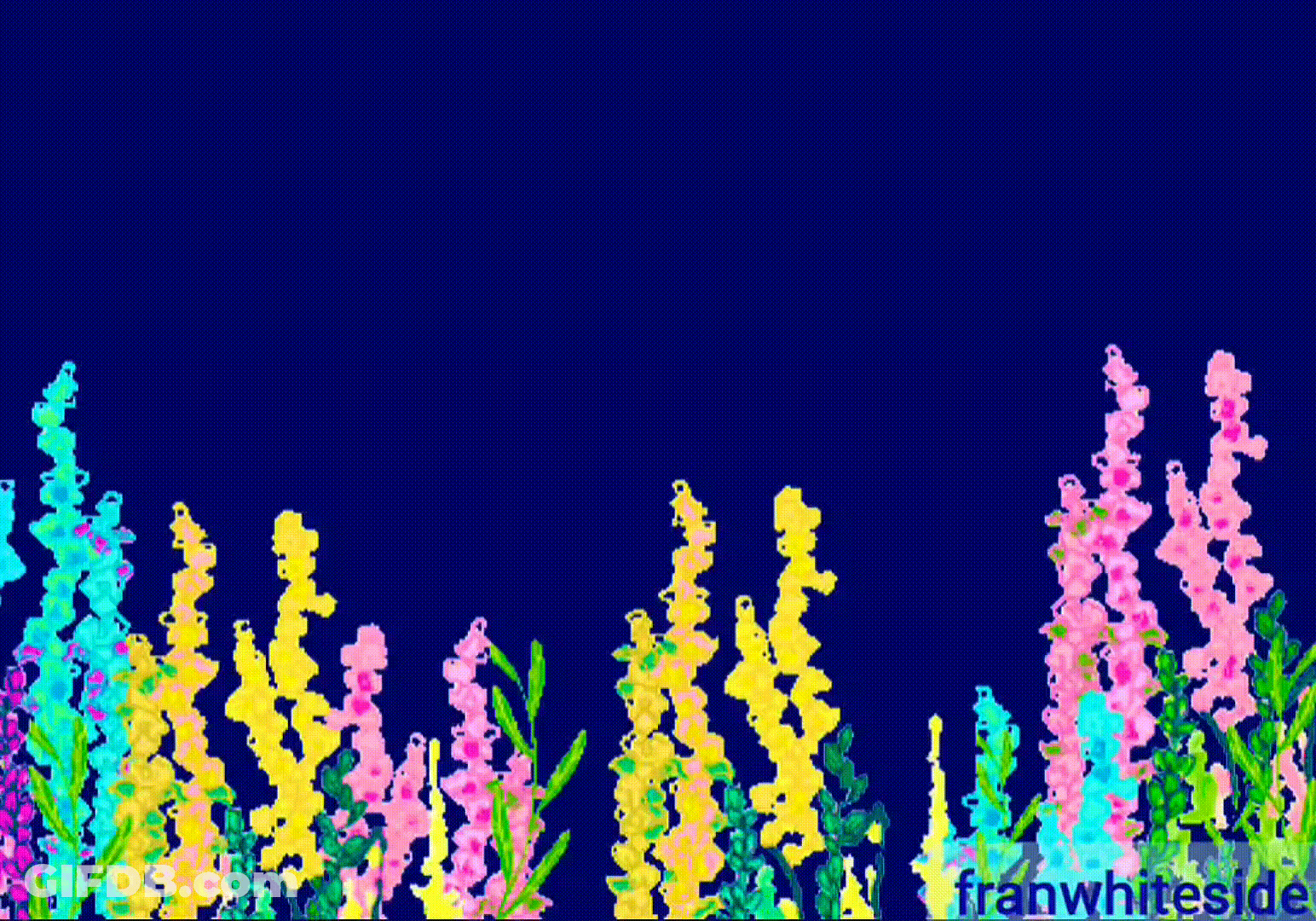 Good Morning Foxglove And Mayfly GIF