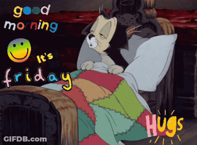 Good Morning Friday Sleepy Cat Figaro GIF