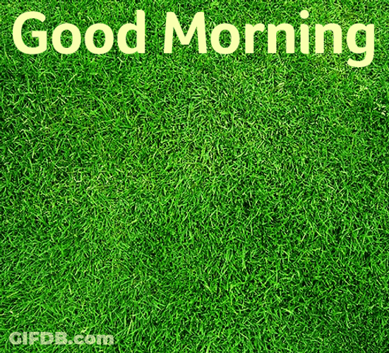 Good Morning Friend G+ GIF