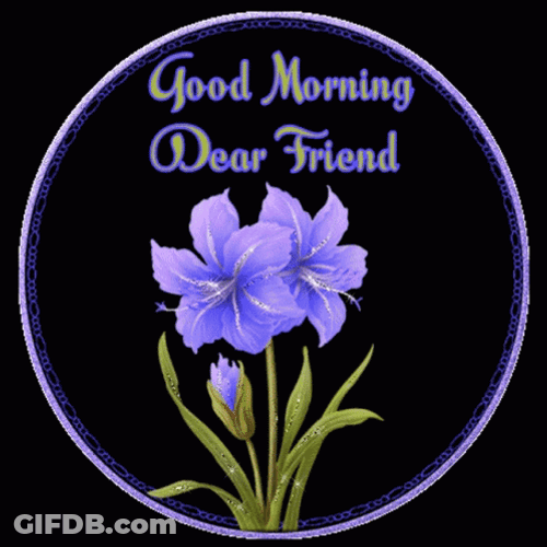 Good Morning Friend Purple Flower GIF