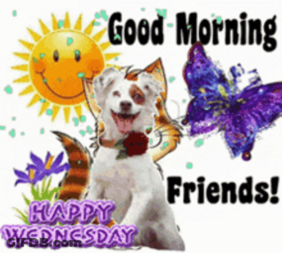 Good Morning Friends Happy Wednesday Dog Sun Butterfly GIF