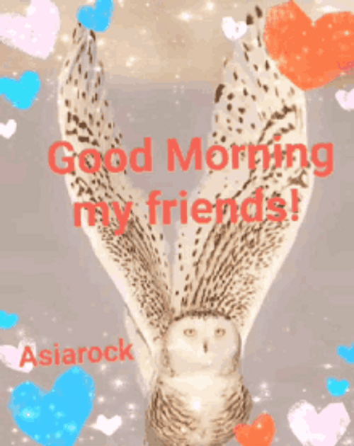 Good Morning Friends Owl Hearts Glitters Sparkles GIF