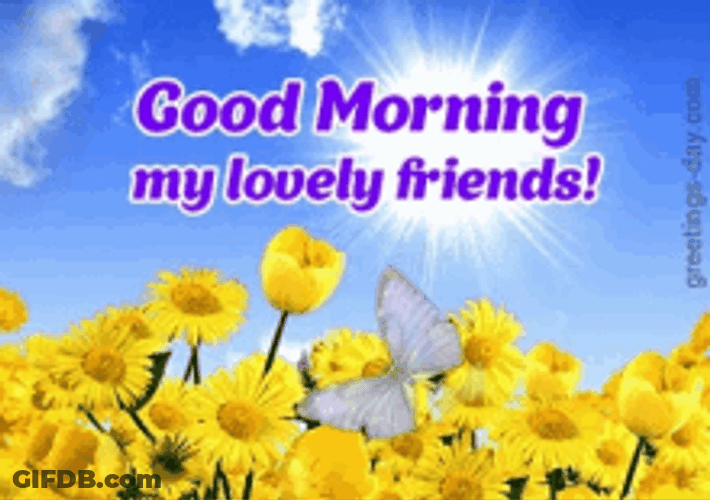 Good Morning Friends Sunflower Butterflies Spring Sunlight GIF