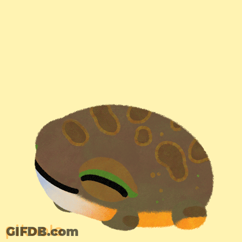 Good Morning Frog GIF