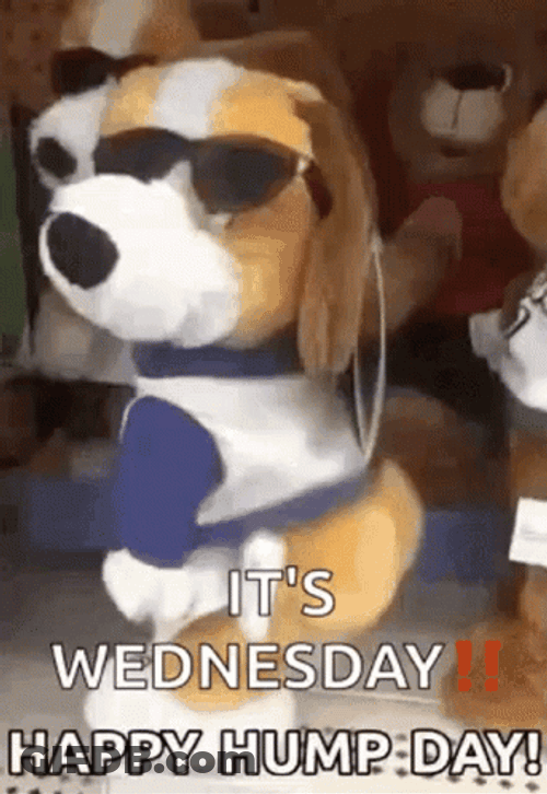 Good Morning Funny It's Wednesday GIF