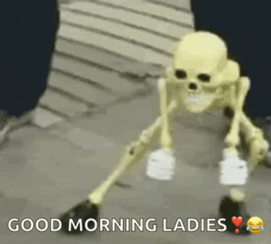 Good Morning Funny Skeleton GIF