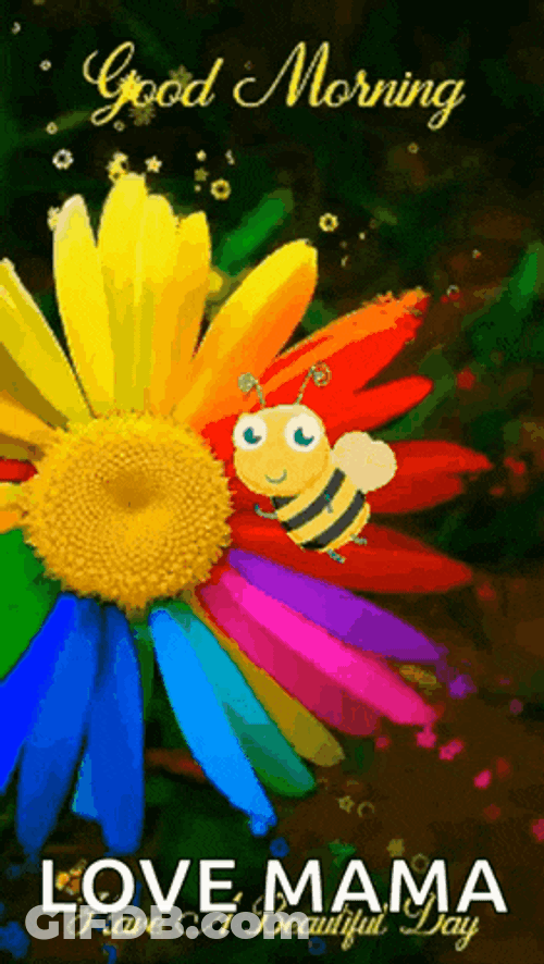 Good Morning GIF