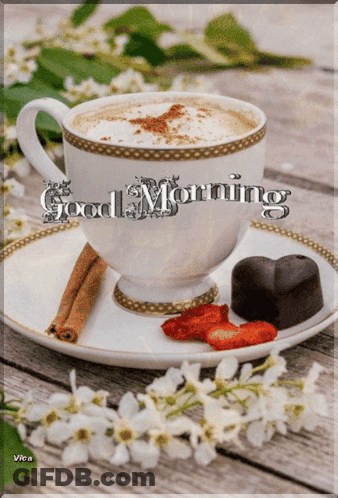 Good Morning GIF