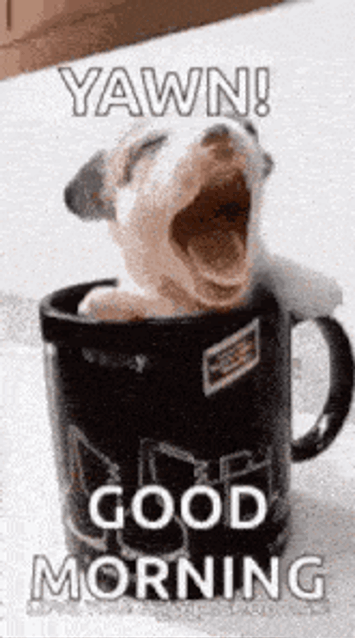 Good Morning GIF