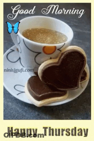 Good Morning GIF