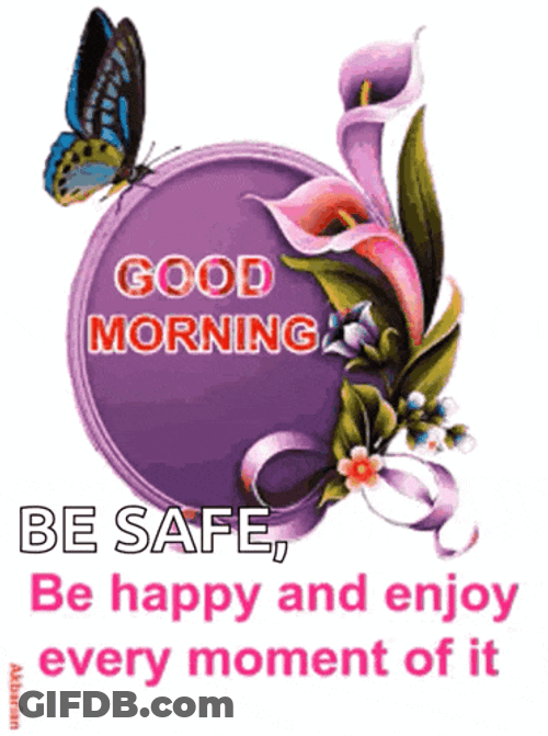 Good Morning GIF