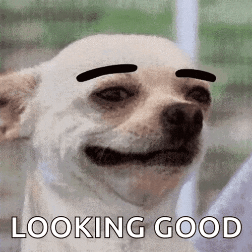 Good Morning GIF