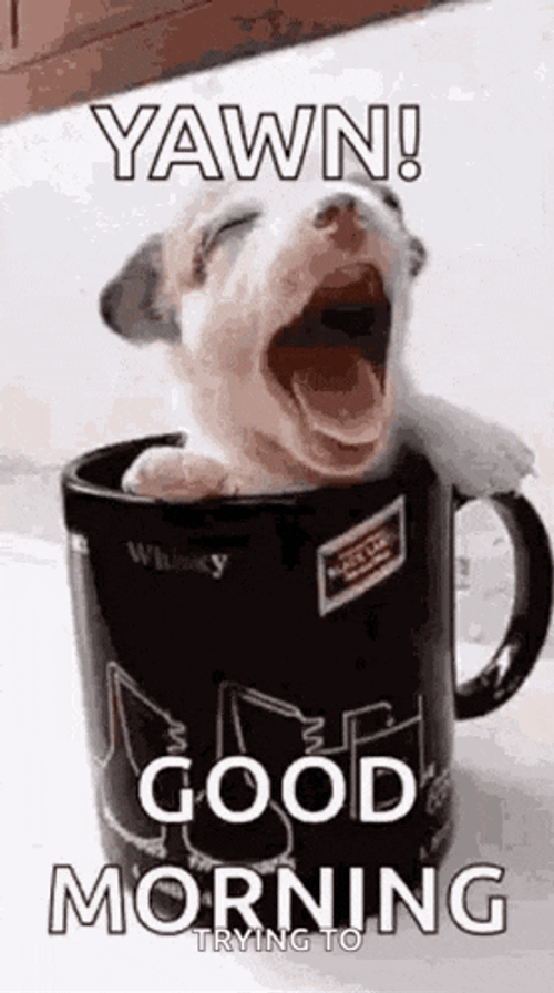 Good Morning GIF