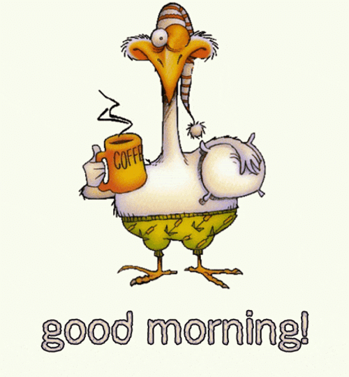 Good Morning GIF