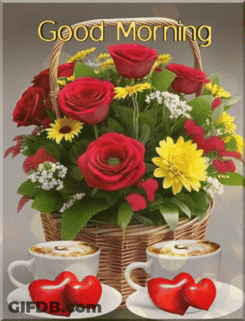 Good Morning GIF