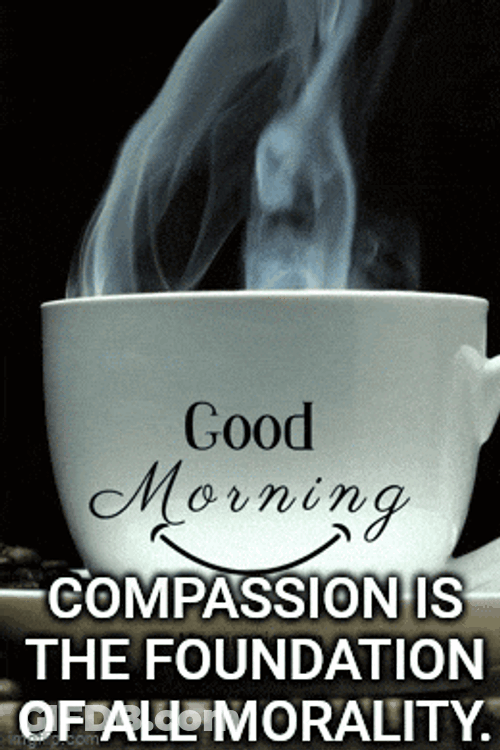 Good Morning GIF