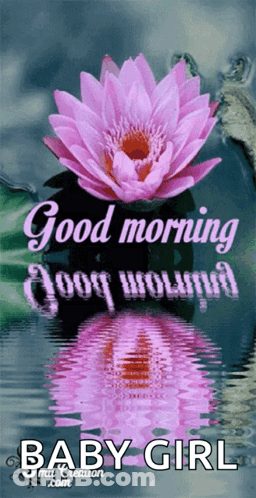 Good Morning God Bless You GIF