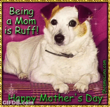 Good Morning God Bless You Saturday Card GIF