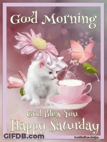 Good Morning God Bless You Saturday With Kitten GIF