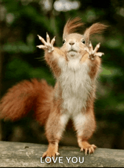 Good Morning Good Morning Funny Meme GIF