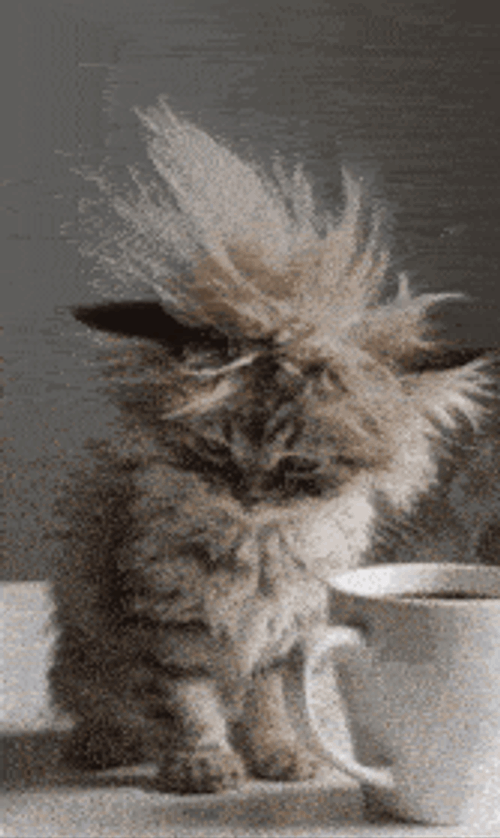 Good Morning Goodmorning GIF