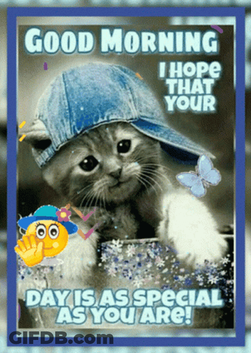 Good Morning Gorgeous Cute Cat GIF
