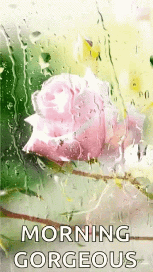 Good Morning Gorgeous Pink Flower GIF