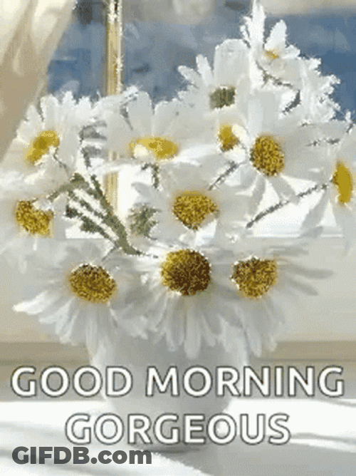 Good Morning Gorgeous White Flowers GIF