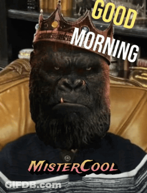 Good Morning Gorilla Dancing Master Cool GIF