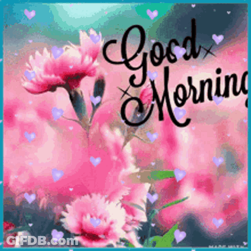 Good Morning Greeting Card Pink Flowers GIF