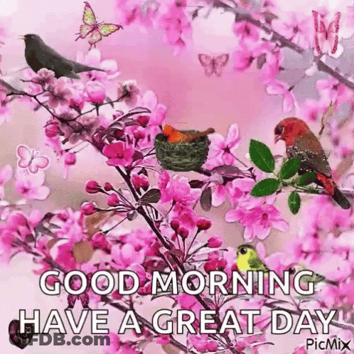 Good Morning Greeting Card With Birds And Butterflies GIF