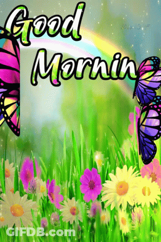 Good Morning Greeting Card With Butterflies And Rainbow GIF