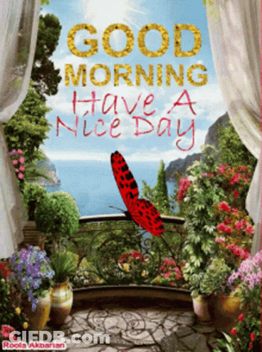 Good Morning Greeting Card With Butterfly GIF