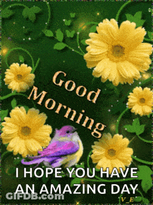 Good Morning Greeting Card With Flowers And Bird GIF