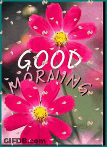 Good Morning Greeting Card With Pink Flowers GIF