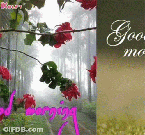 Good Morning Greeting Card With Red Flowers In Forest GIF