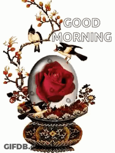Good Morning Greeting Card With Red Rose And Two Birds In Glass Ball GIF