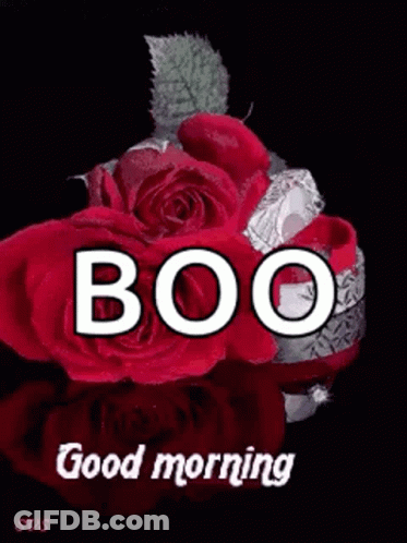 Good Morning Greeting Card With Rose In Water GIF