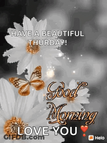 Good Morning Greeting With Flowers And Butterflies GIF