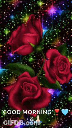 Good Morning Greeting With Red Roses GIF