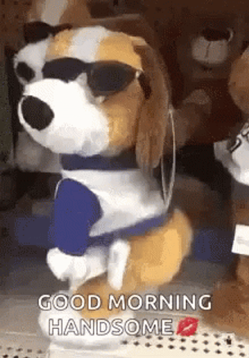 Good Morning Handsome Dog Twerking GIF