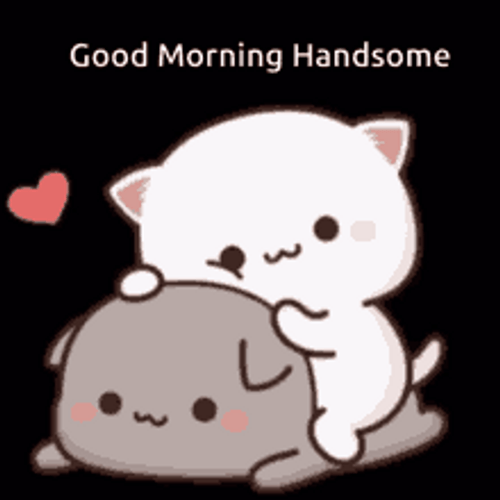 Good Morning Handsome Peach & Goma GIF