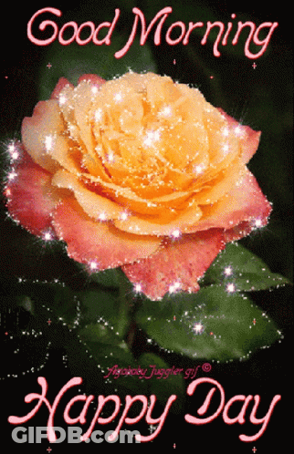 Good Morning Happy Day Greeting Rose GIF