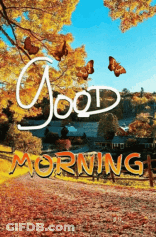 Good Morning Happy Fall Saturday GIF