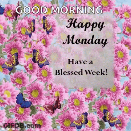 Good Morning Happy Monday Blessed Week GIF
