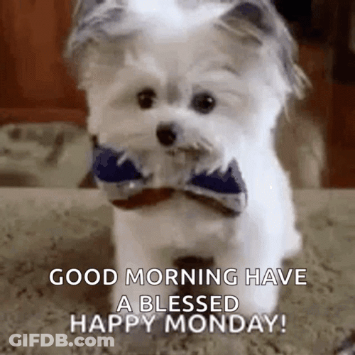 Good Morning Happy  Monday Puppy GIF