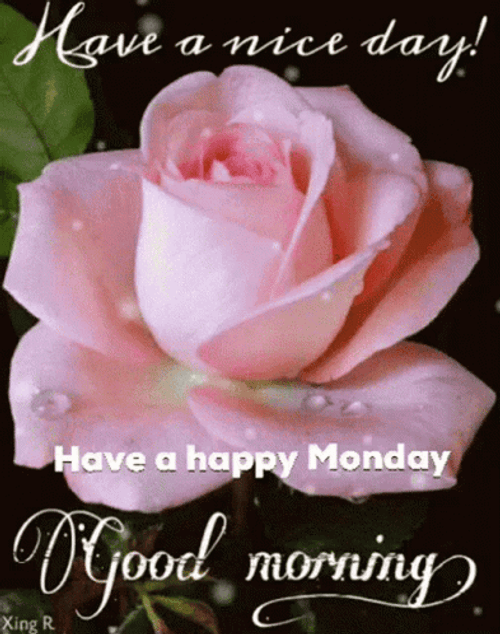 Good Morning Happy Monday Rose GIF