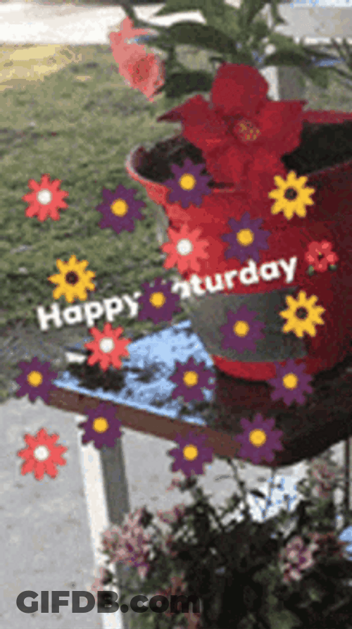 Good Morning Happy Saturday Colorful Flowers GIF