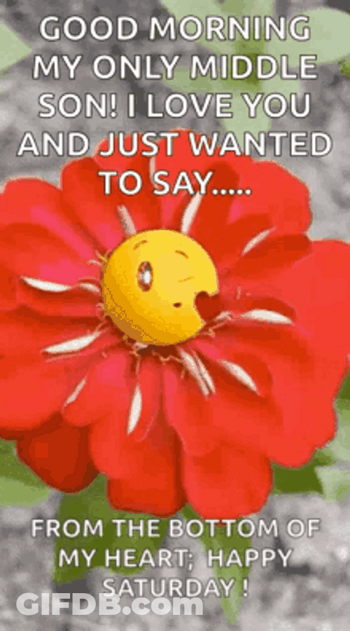 Good Morning Happy Saturday Cute Flower Love You GIF