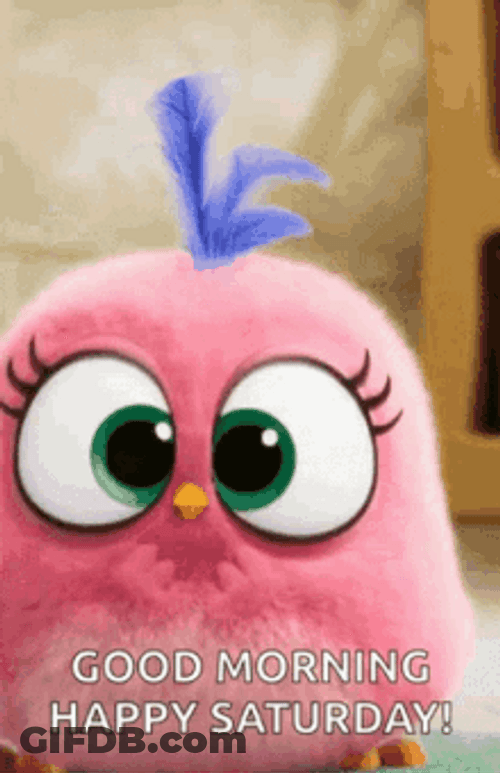 Good Morning Happy Saturday Cute Stella Jump GIF